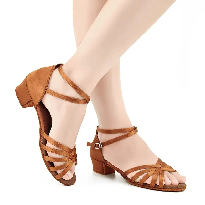 Latin Shoes for Girls Women Low Heel Latino Salsa Modern Ballroom Shoes Tango Salsa Rumba Latin Dance Shoes