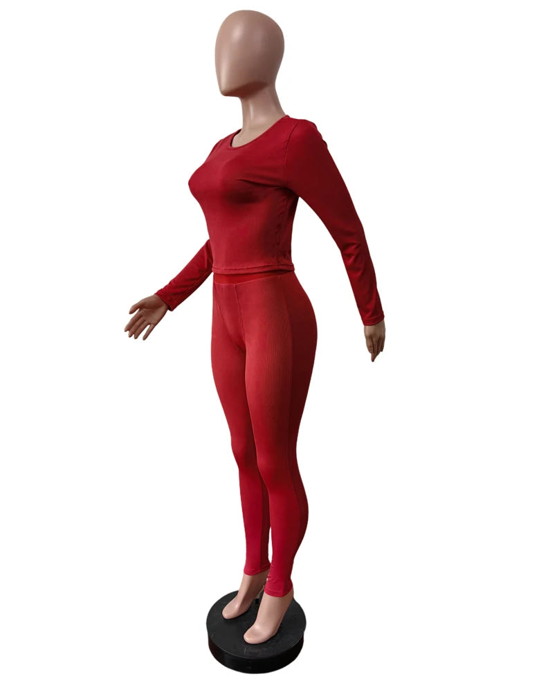 Elastic Yoga Outfits Lounge Sets for Women Autumn 2 Piece Set Ladies Activewear Basic Ribbed Long Sleeve Casual Jogging Suit