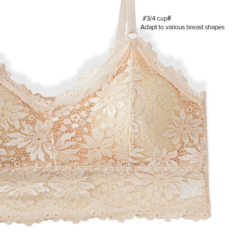 Sexy Bra Women Lace Bralette Sexy Lingerie Underwear Wireless Padded Seamless Bra Ultra Strap Padded Bras for Women