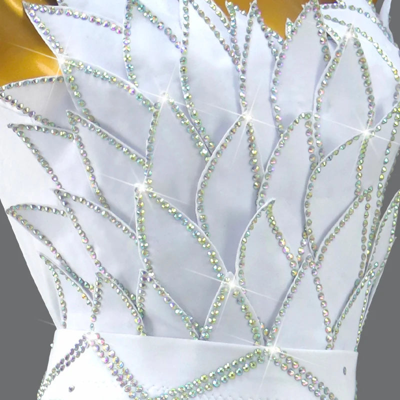 Womens Ballroom Dance Dress Dancewear Elegant Party Clothing 2025 Adult Costume Female Prom Fringed Skirt Girls Samba Stage Suit