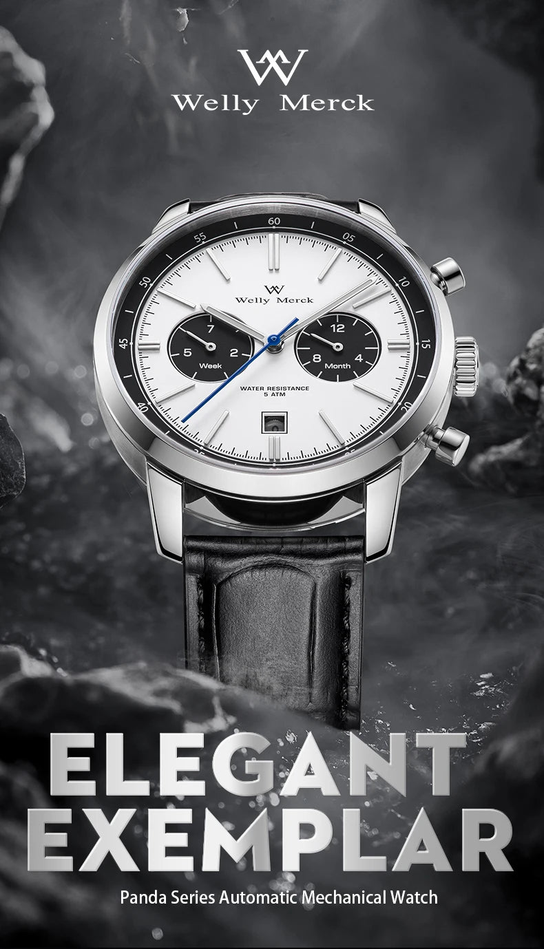 WM Watch Automatic Mechanical Watch Man Business Casual Watches Stainless Steel Sapphire Waterproof For Men Welly Merck 138M-WM