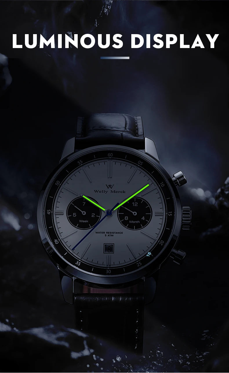 WM Watch Automatic Mechanical Watch Man Business Casual Watches Stainless Steel Sapphire Waterproof For Men Welly Merck 138M-WM