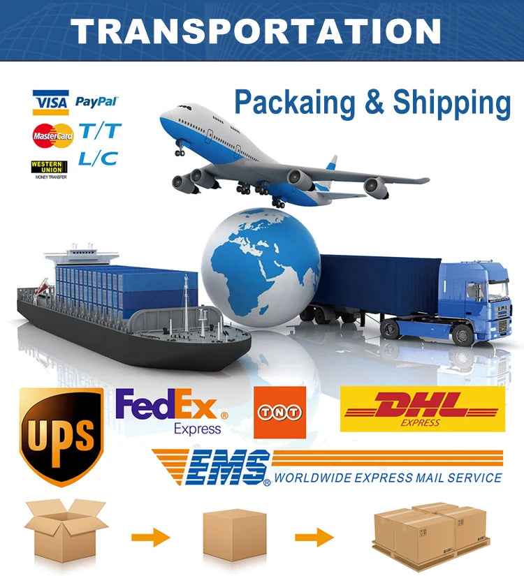 Fashionable New Ladies' Handbag Young Lady Large Transparent Tote Bag for Girls