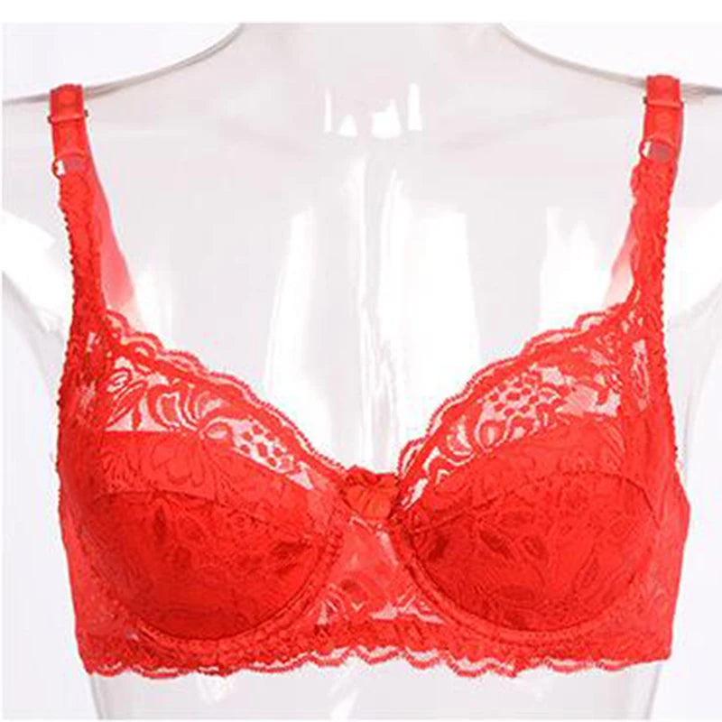 New Women's Bra Sexy Lace Bra Women Modis Lingerie Porno Comfort Free Bralettle Women Push Up Bra Sexy Brassiere