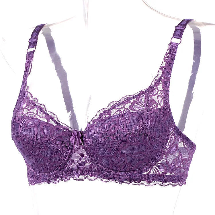 New Women's Bra Sexy Lace Bra Women Modis Lingerie Porno Comfort Free Bralettle Women Push Up Bra Sexy Brassiere