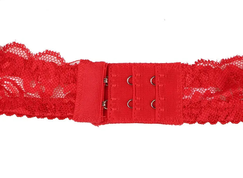 New Women's Bra Sexy Lace Bra Women Modis Lingerie Porno Comfort Free Bralettle Women Push Up Bra Sexy Brassiere