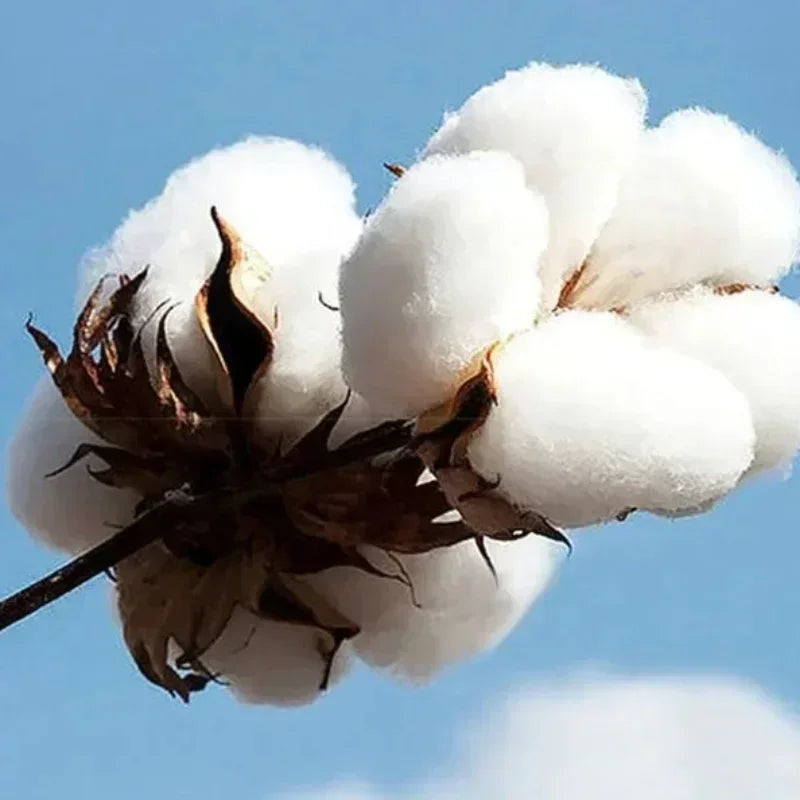 Autumn and Winter Sweater Hoodie Sudadera Con Capucha The Summer I Turned Pretty Team Conrad Belly Jeremiah Harajuku Para Hombre