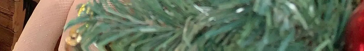 Elegant Women Two Piece Outfit Red Corset Crop Top Tulle Mini Skirt Slim Fit Sexy Summer Party Clubwear Chic Stylish Look 2025